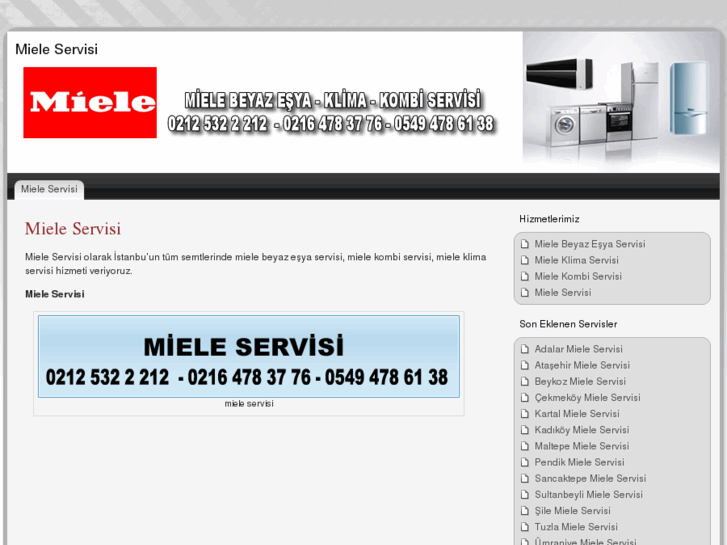 www.mieleservisii.com