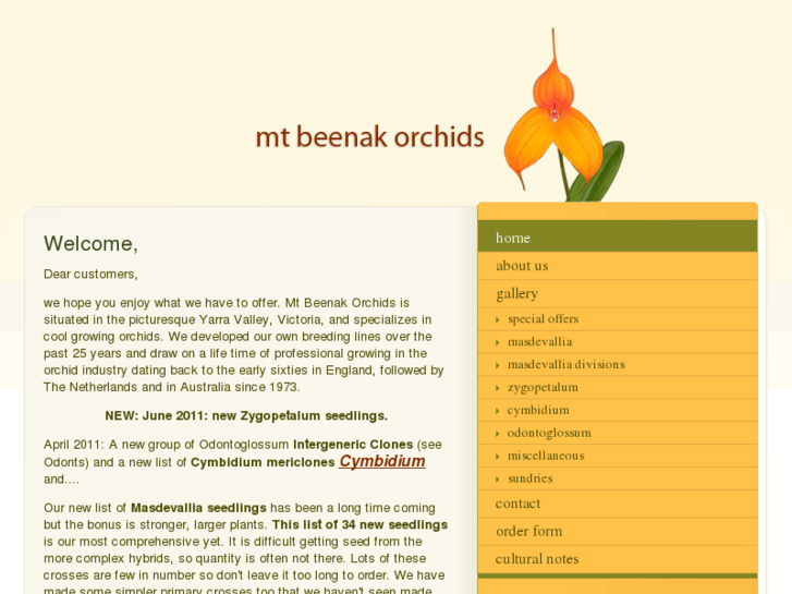 www.mtbeenakorchids.com.au