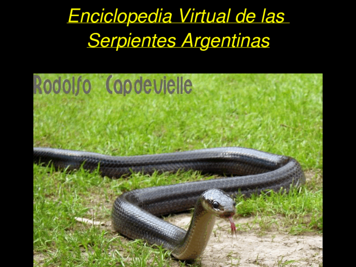 www.serpientesargentinas.com