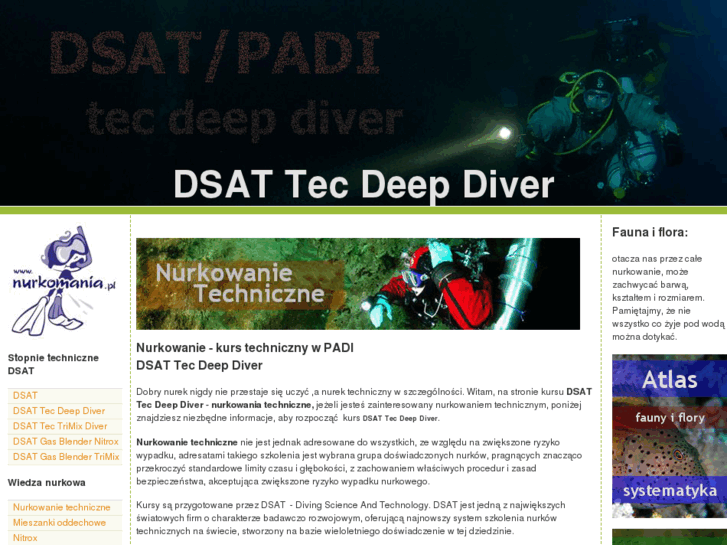 www.tecdeepdiver.pl