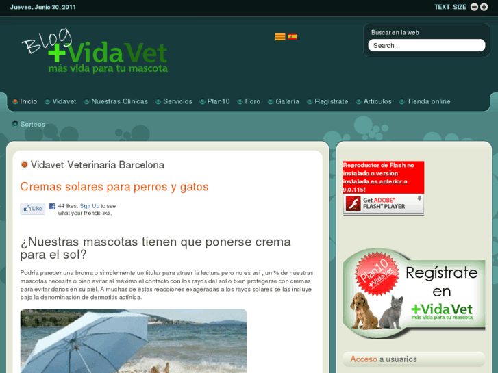 www.vidavet.es