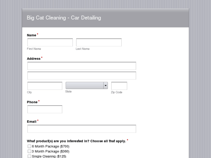 www.bigcatcleaning.com
