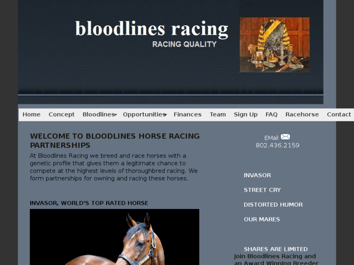 www.bloodlinesracing.com