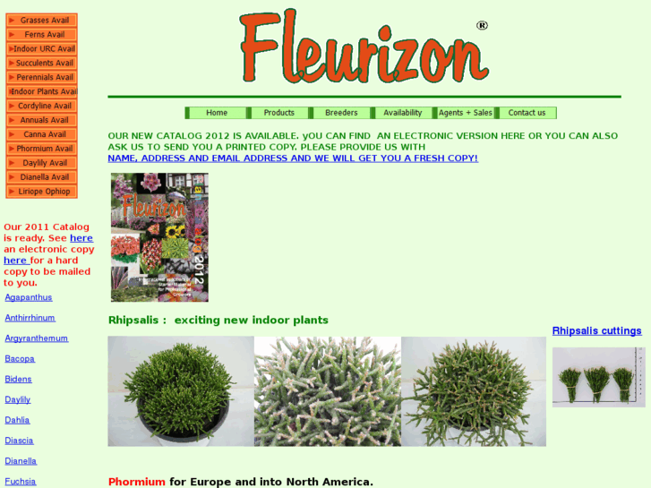 www.fleurizon.com