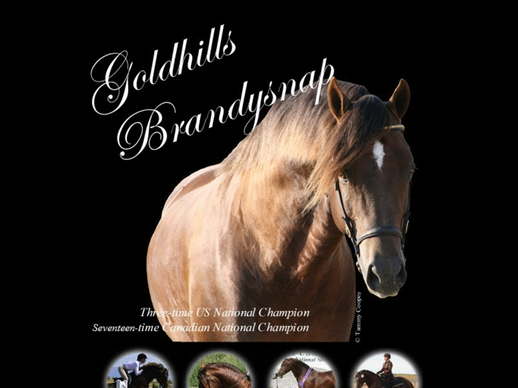 www.goldhillsbrandysnap.com