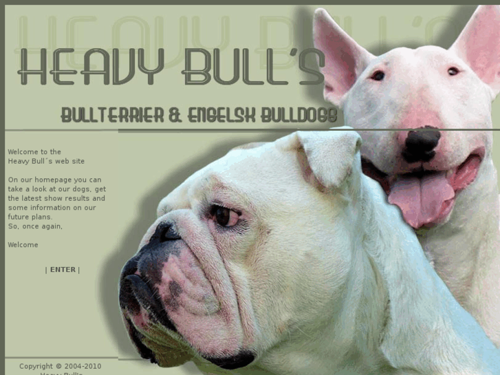 www.heavybulls.com