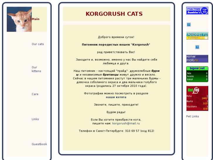 www.korgorush-cat.com