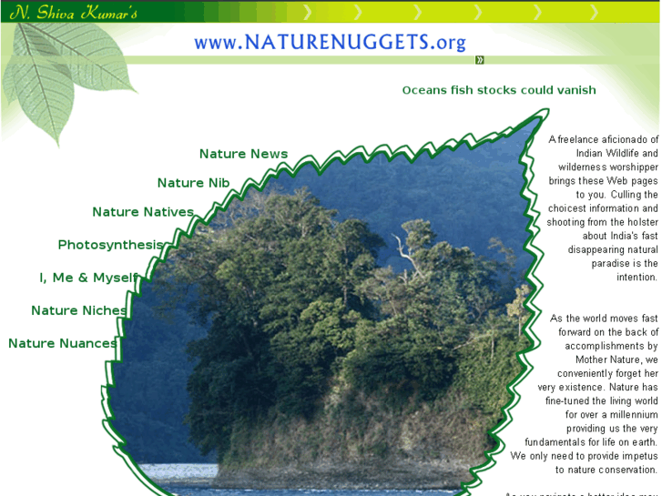 www.naturenuggets.org