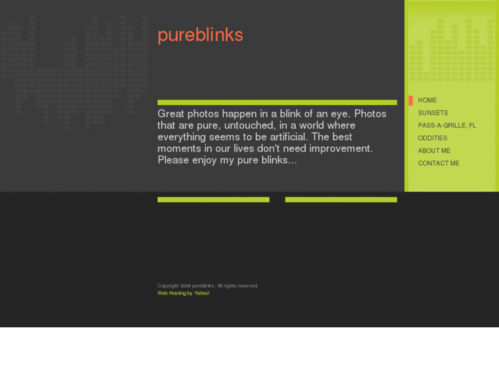 www.pureblinks.com