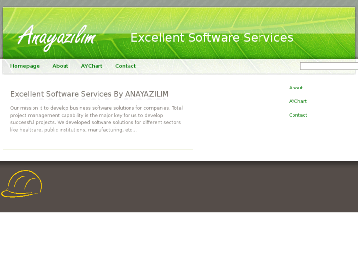 www.anayazilim.com