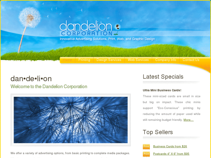 www.dandelioncorporation.com