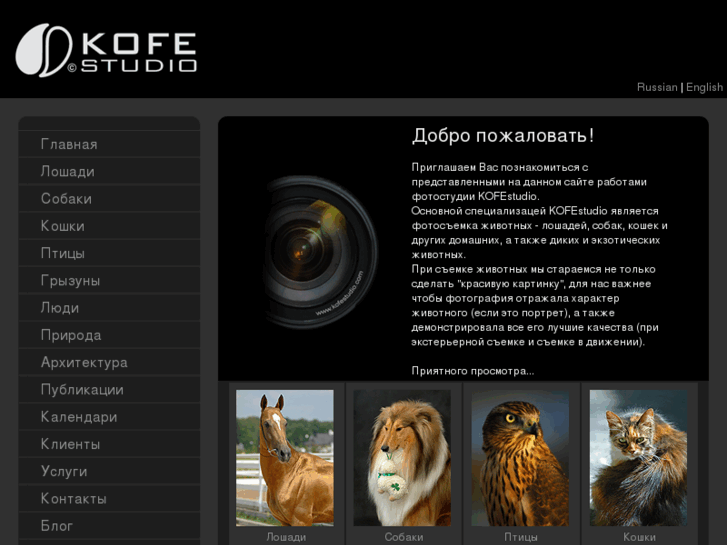 www.kofestudio.com