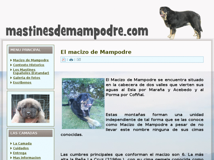 www.mastinesdemampodre.com