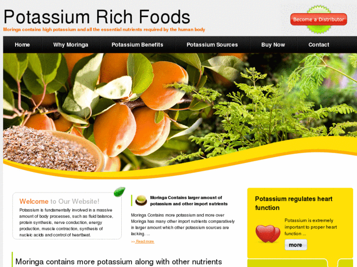 www.potassium-rich-foods.net