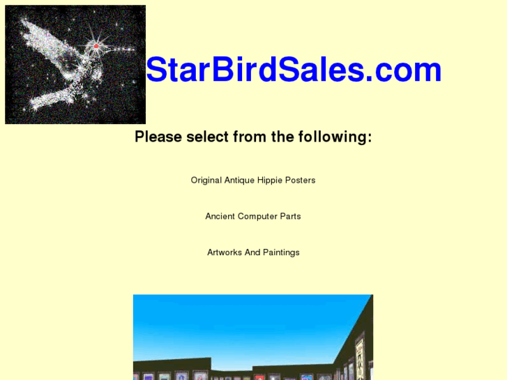 www.starbirdsales.com