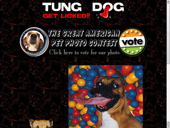 www.tungdog.com