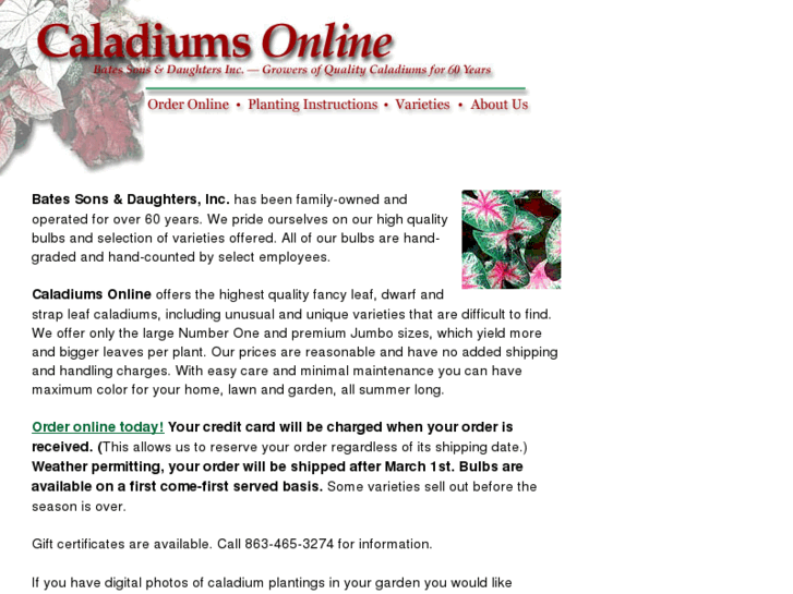 www.caladiumsonline.com