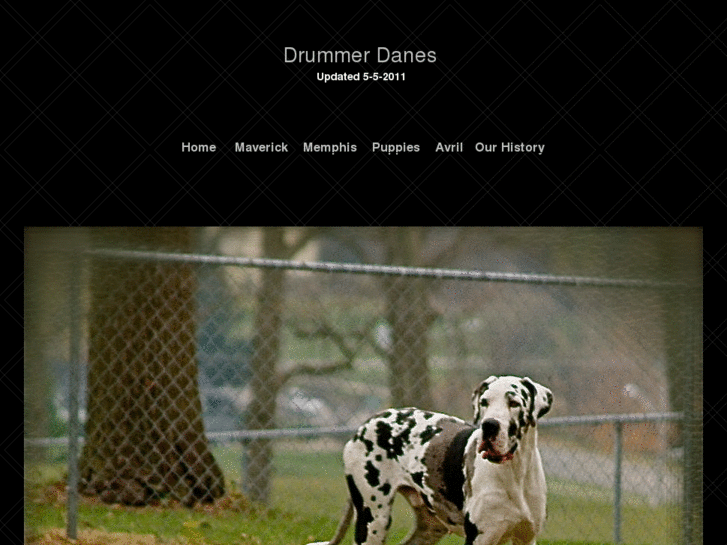 www.drummerdanes.com