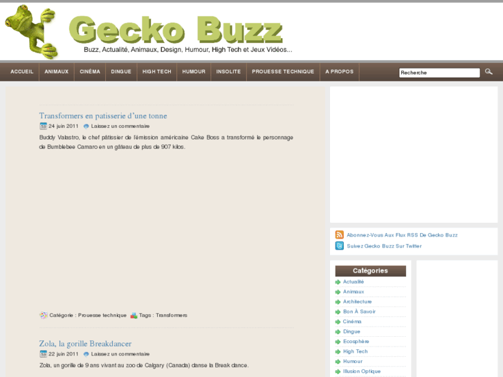 www.geckobuzz.fr