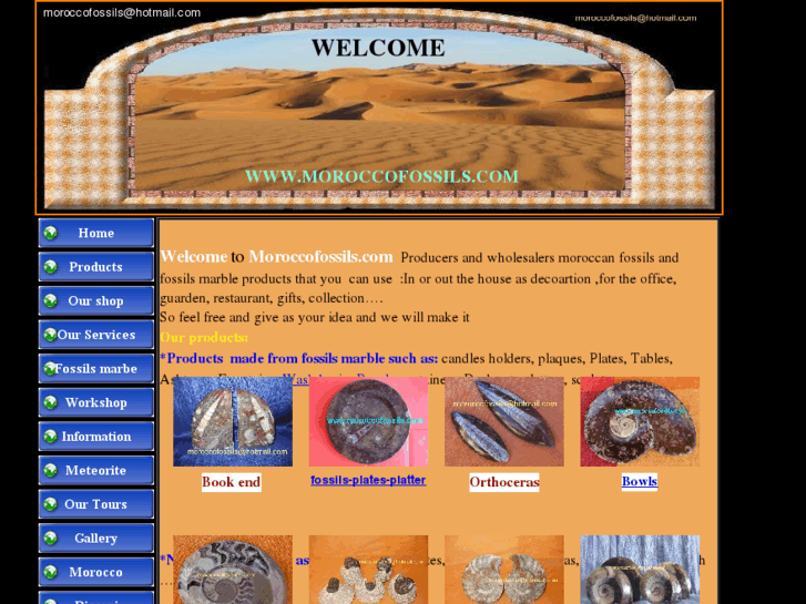 www.moroccofossils.com