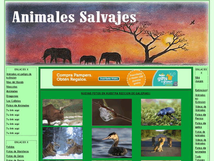 www.salvajes.com.ar