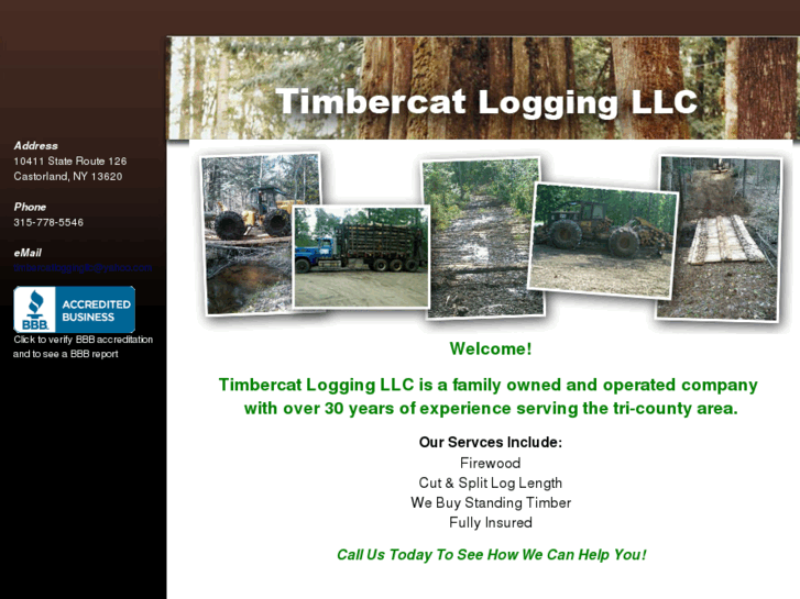 www.timbercatlogging.com