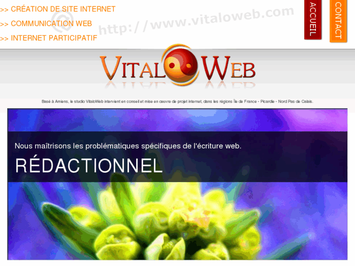 www.vitaloweb.com