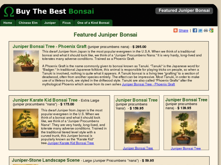 www.buythebestbonsai.com