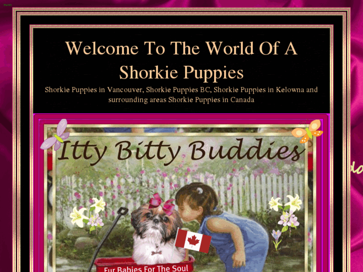 www.ittybittybuddies.com