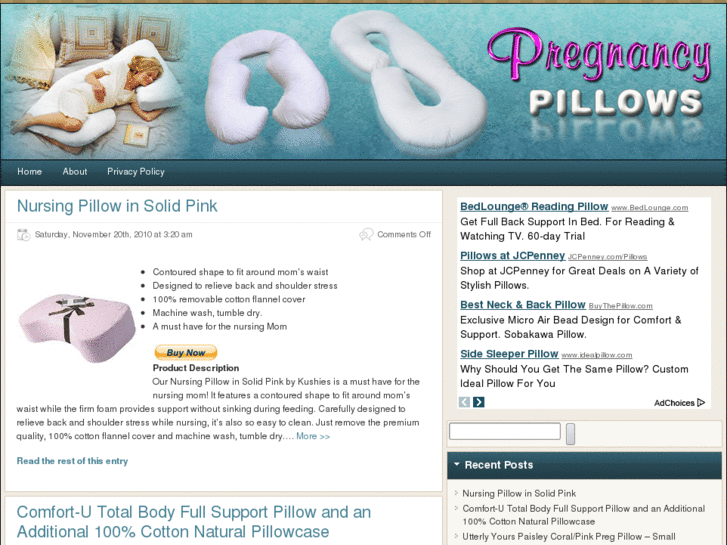 www.pregnancypillowsite.com