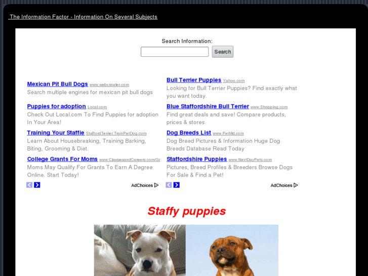 www.staffypuppies.com