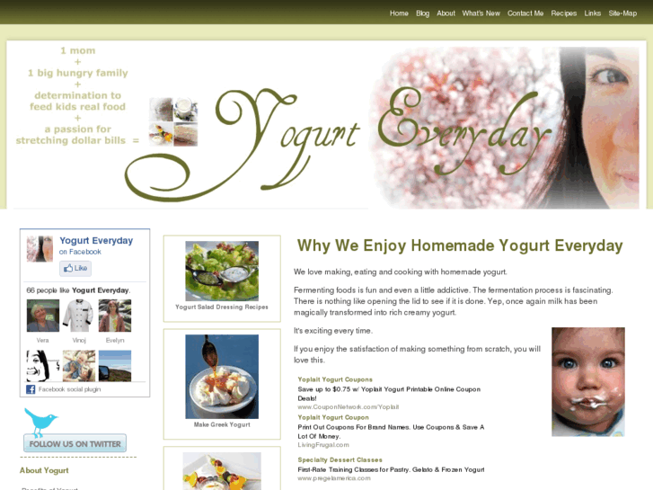 www.yogurt-everyday.com