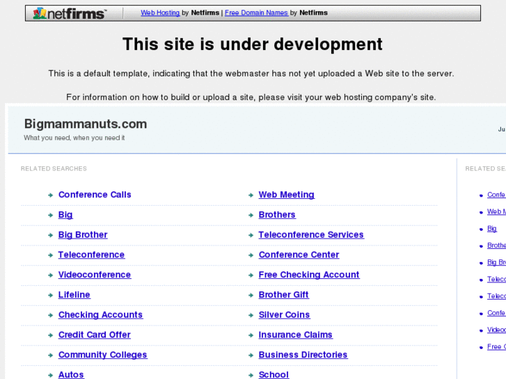 www.bigmammanuts.com