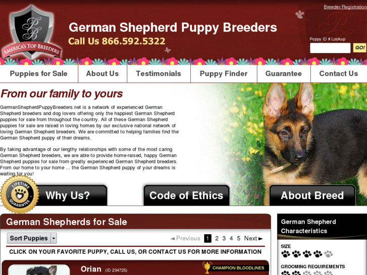 www.germanshepherdpuppybreeders.net