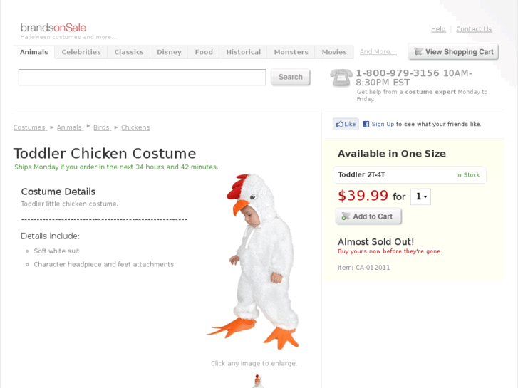 www.toddlerchickencostume.com