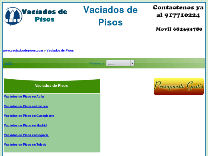 www.vaciadosdepisos.com