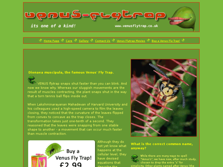 www.venusflytrap.co.uk