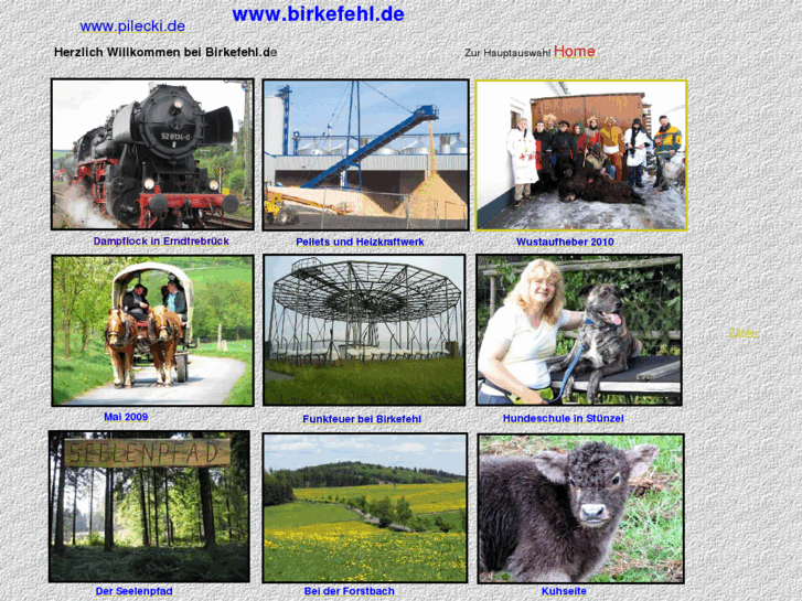 www.birkefehl.de