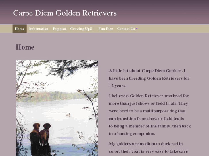 www.carpediemgoldens.com