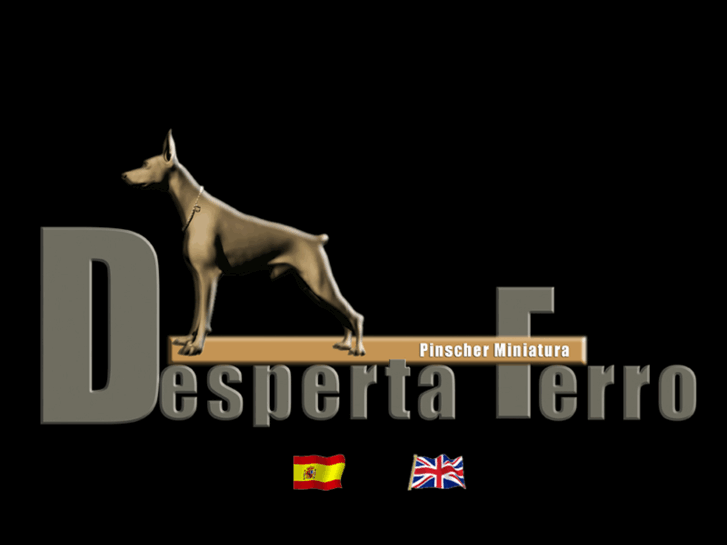 www.despertaferro.es