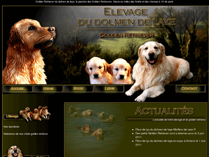 www.goldens-retrievers.com