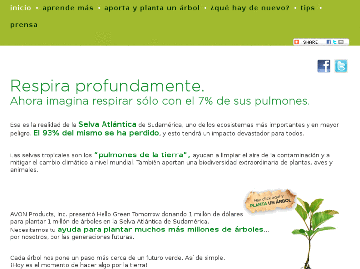 www.hellogreenmexico.com