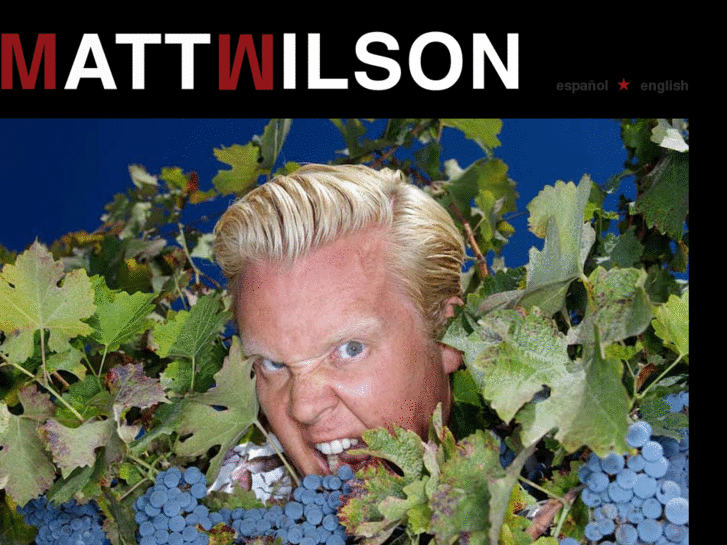 www.mattwilson.cl