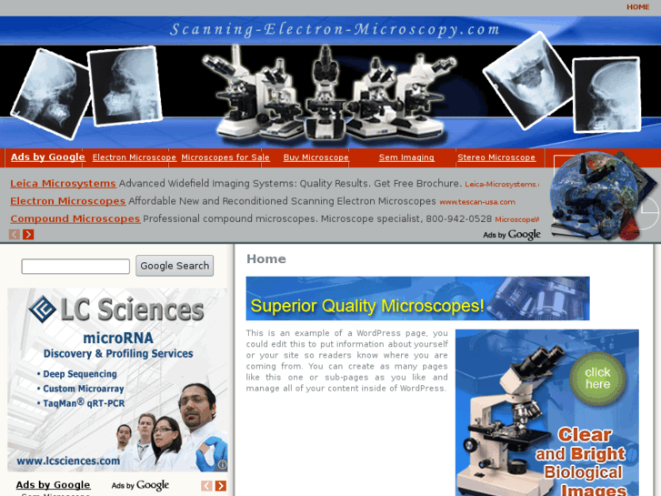 www.scanning-electron-microscopy.com