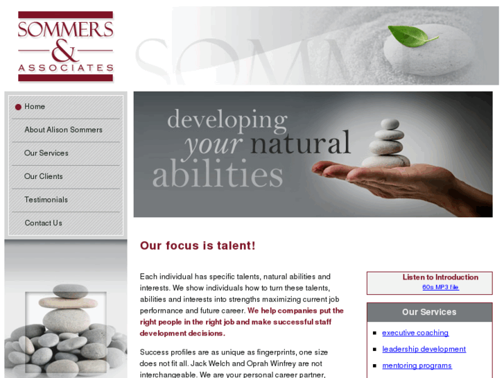 www.sommersassociates.com