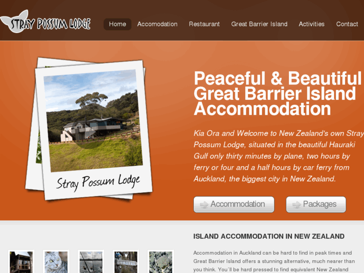 www.straypossum.co.nz