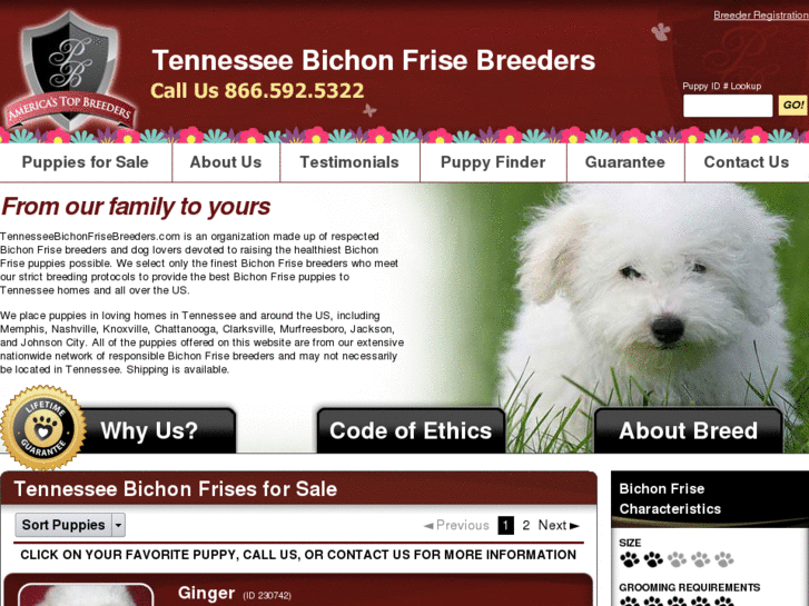 www.tennesseebichonfrisebreeders.com