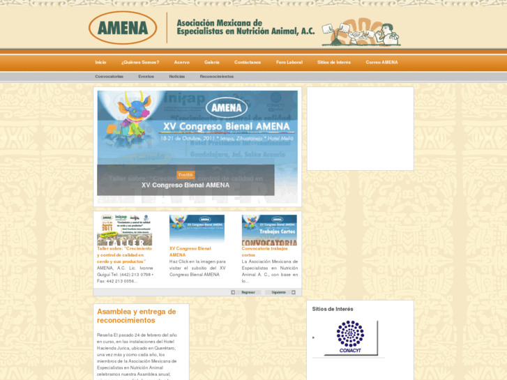 www.amena.mx