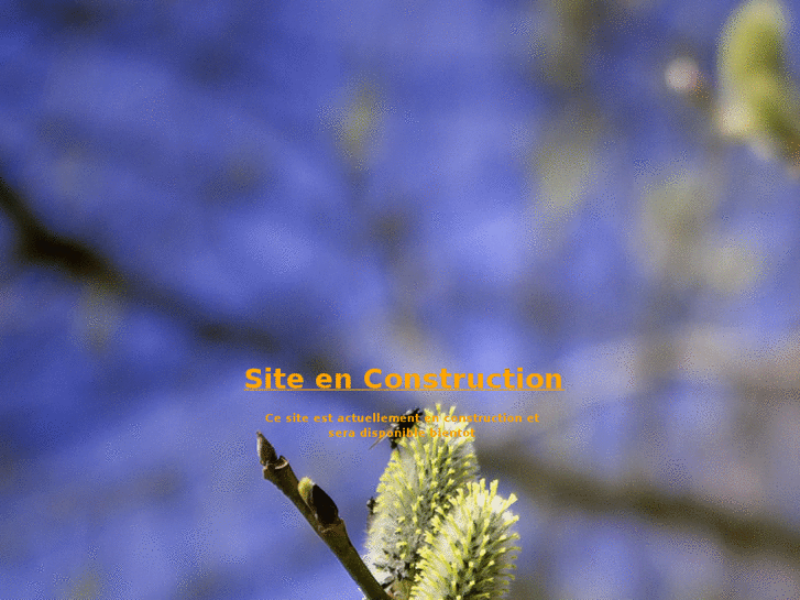 www.docden.net