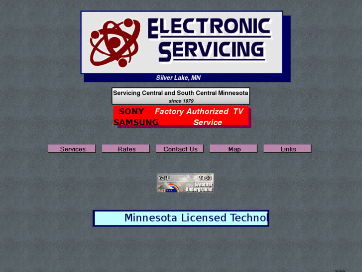 www.electronicservicing.net